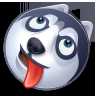 莱切2：1胜比萨保级在望，卡马尔达复出4次触球